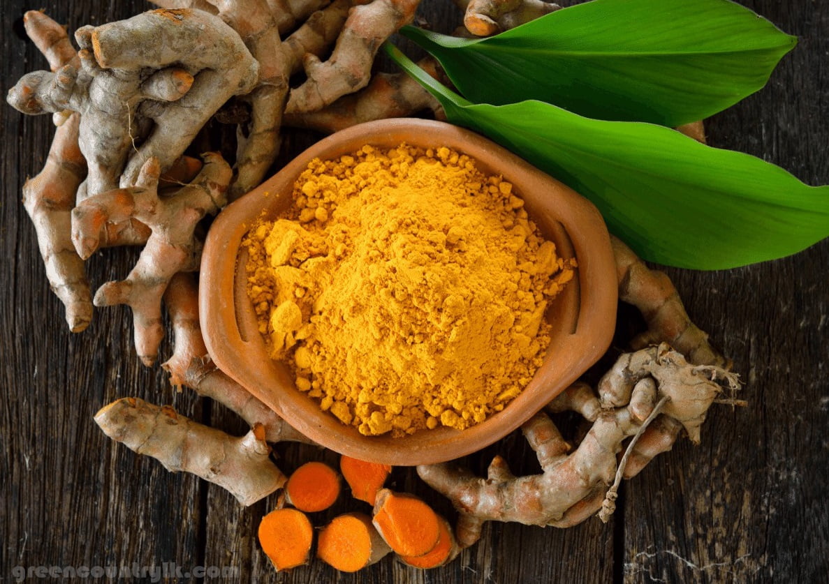 Learn About Turmeric Cultivation