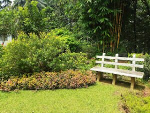 Bench-in-the-garden-with-beautiful-nature-background-view-ගුරුබෙවුල