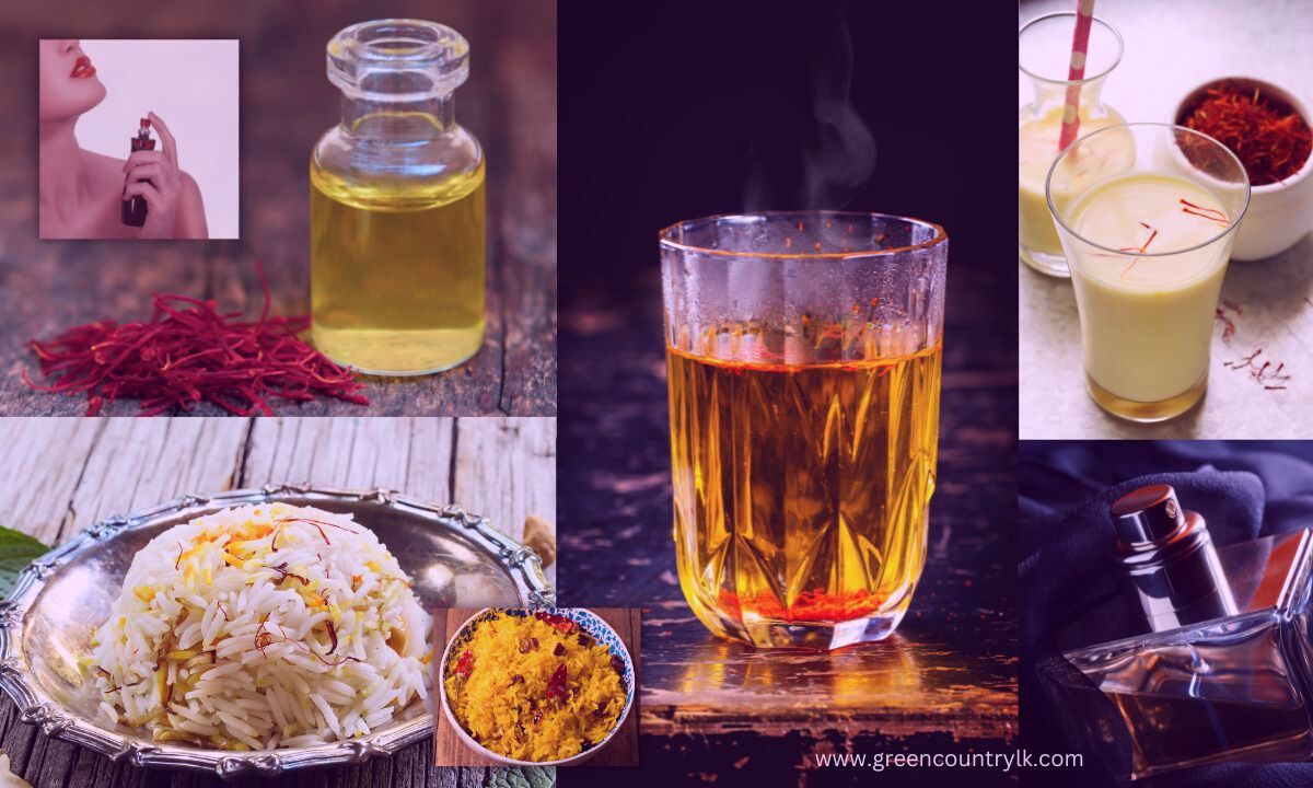 Saffron | History, Benefits, Related Countries, & Uses