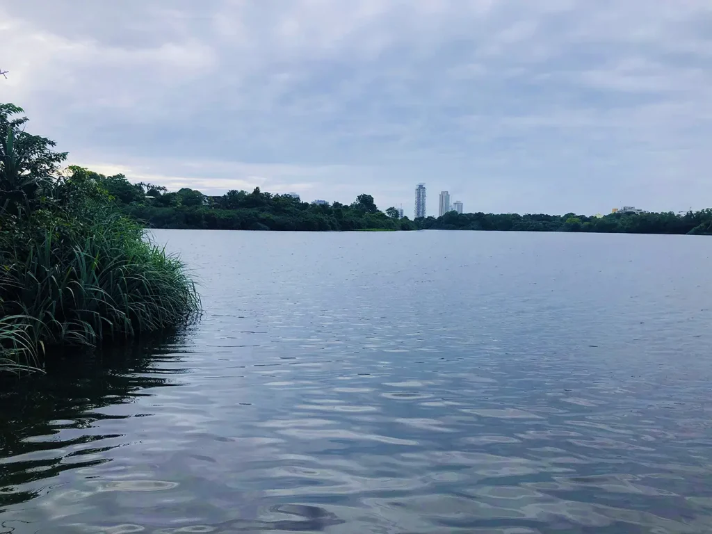 Baddagana Wetland Park බැද්දගාන තෙත්බිම් උද්‍යානය Tranquil Water Scene with Trees and Clouds