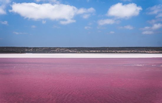 is lake hillier dangerous dunaliella salina algae rose color lake lake hillier facts lake hillier location why is lake hillier pink amazing nature pictures download pink lake facts